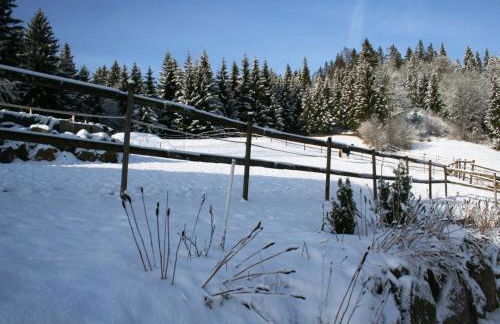 Apartment in Dachsberg-urberg - Foto 42