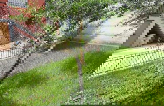 Kalpazo Tirana Vila 313 - Foto 35