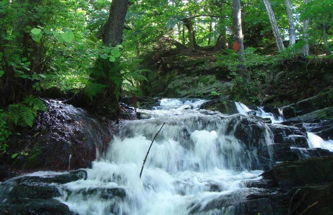 Hill-view Holiday Home in Dankerode Near Lake and Hiking - Foto 56