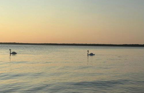 Waterfront Designer Retreat! Stunning Sunsets! Less than 5 minutes to the beach! - Foto 14