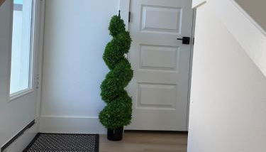 House of Tranquillity - Foto 5