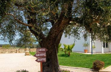 Masseria Causio - Photo 34