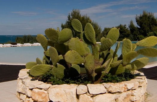 Residence gli stingi - Foto 29