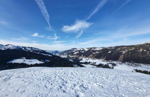 Allgäu Apartments Hüs 4 Ferienwohnung mit Self-Checkin - Photo 32