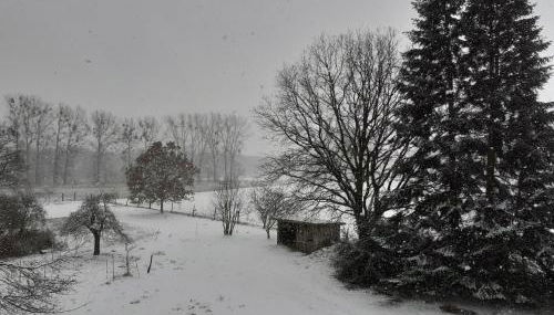 Ferienwohnung ehemalige Revierförsterei "Morgensünn" - Foto 2
