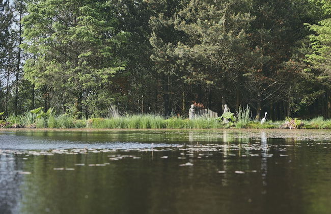 Mushroom Yurt set in 4 Acres of Woodland and Lakes - Foto 28