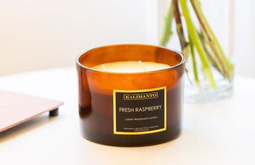 Le Palm Spring - studio cosy en centre-ville - Foto 17