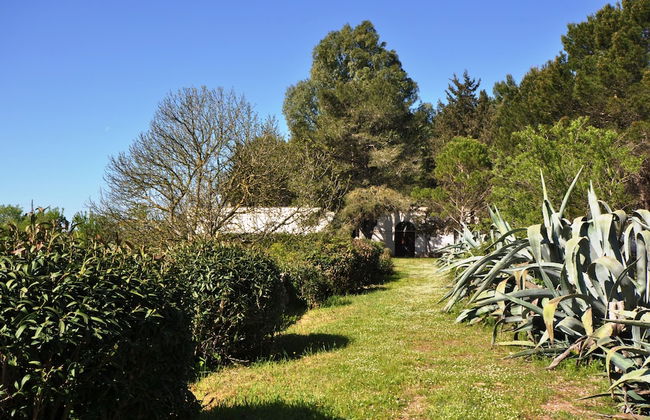 Masseria Frassaniti - Foto 29