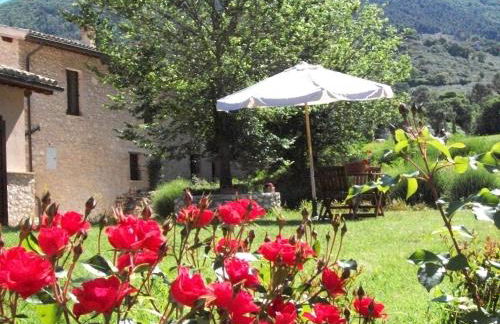 Agriturismo Il Casalino - Photo 23