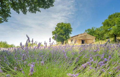 Stone House In Lavender Fields Near Grignan - Foto 14