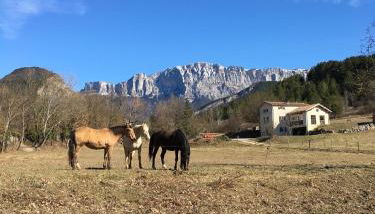 Gîte d'étape d'Aurouses - Foto 5