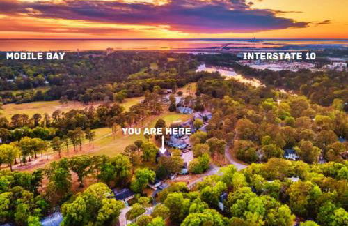 Blue Albatross - Daphne - Foto 30