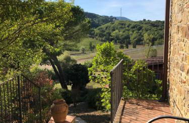 La Gufaia - holiday house with private pool near Florence - Foto 46