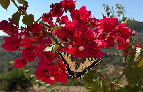 Katerina's House - Photo 4