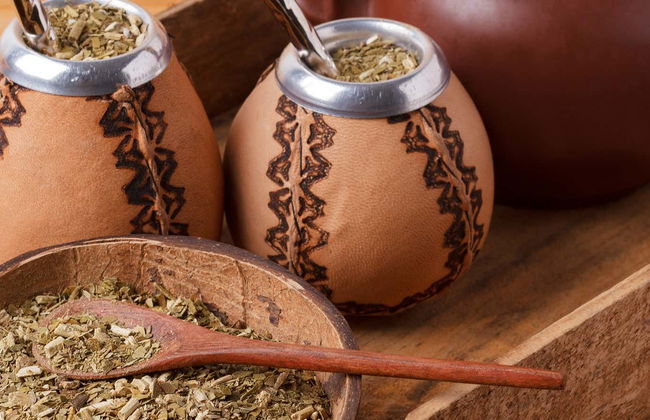 Visite sur le thème du Yerba maté et du thé dans Apóstoles - Photo 1