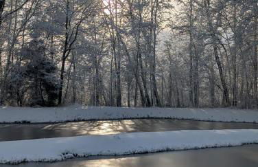 Die Sonnenblume - Foto 7