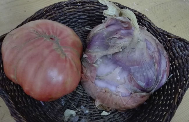 Agriturismo Mare e Monti - Foto 77