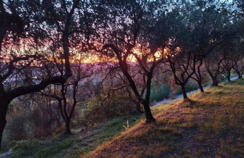 Il Porredo - seaview cottage with garden, terrace and patio - Fosdinovo - Foto 30