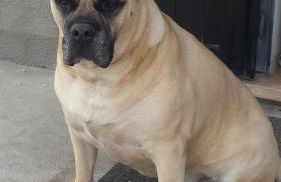 Corte Ventaglio - Foto 34