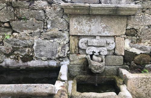 QUINTA do SOUTO BARCIADEMERA - Foto 45