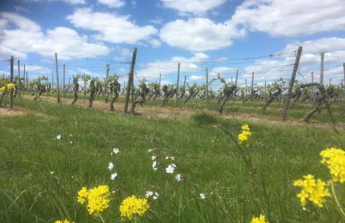 Ferienwohnungen In de goldisch Luft - Foto 15