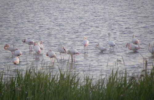 Casa Cicolani - Foto 18