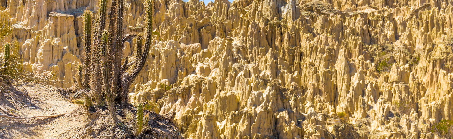 Escursione alla Valle della Luna e alla Montagna Chacaltaya