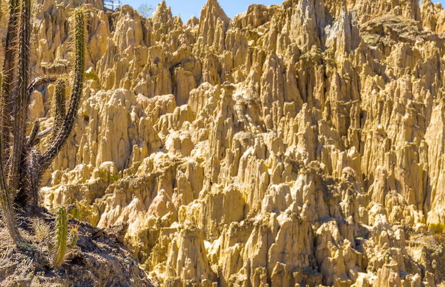 Valle de la Luna and Mount Chacaltaya Trip - Foto 1