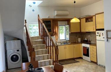 A View Home _ Agkistri - Foto 8