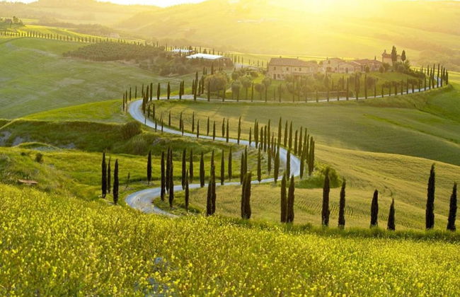 Rustic Elegance Near Florence - Foto 57