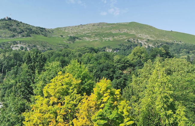 Comfort Aparthotel Lourdes Lorda - Photo 34