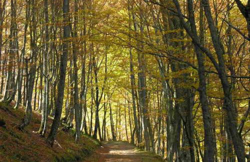 Apartamentos Rurales & Spa La Bárcena - Foto 25