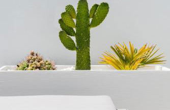 Villa Deluxe Suites Maspalomas - Photo 17