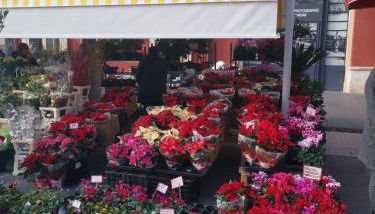 Appartement Vieux-Nice N - Foto 4