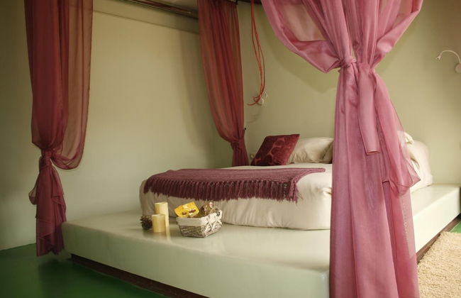 Finca Luz de Alba - Photo 4