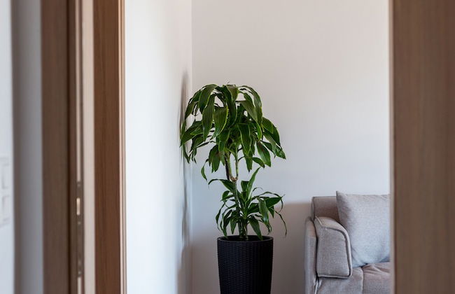 Aegean Seasons - Foto 29