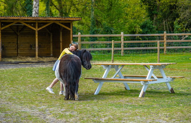 Europarcs Hoge Kempen - Foto 55