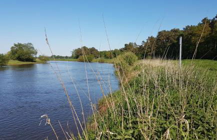 Ferienhaus im Grünen - Photo 34