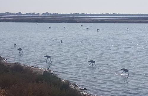 Migyana Horadada - Foto 28