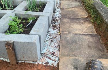 Maravilha na serra - próximo ao centro - Foto 38