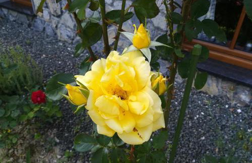 Kuća Za Odmor Barbara - Photo 22