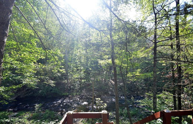 Rosies Creekside Retreat - 3 BR Escape! - Foto 49