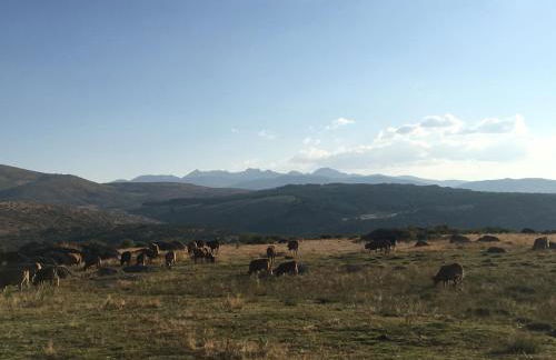 Apartamento Almanzor - Photo 22