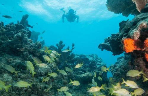 Mermaids Cove Heated Pool Jacuzzi Firepit Beach Access - Foto 40