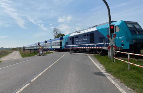 Eiderperle - Foto 30