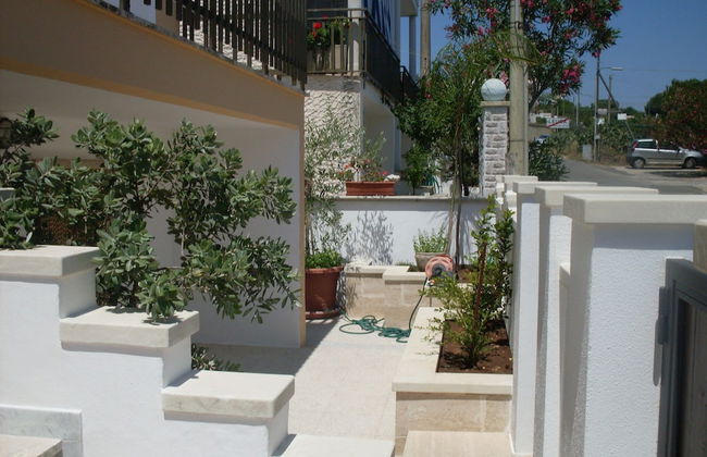 Estate Salento - Foto 57