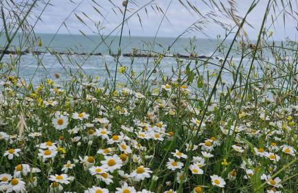 Gabry's Holiday Apartment - Foto 21