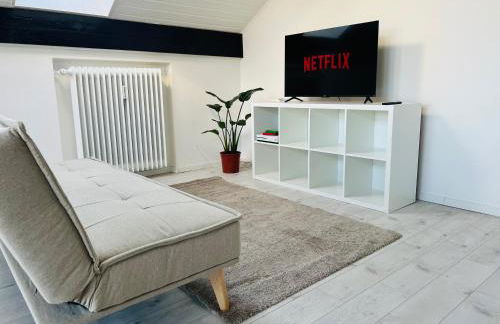 Modern Attic Loft & Balcony near Basel - Foto 1