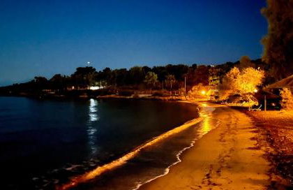 Alexander's - Foto 29