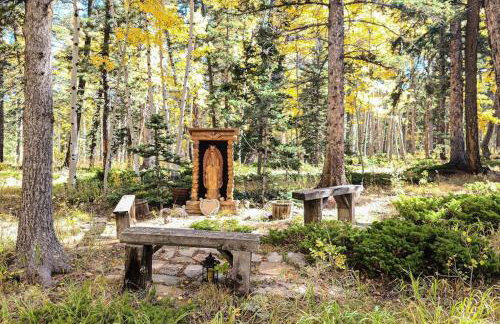 Pikes Peak Retreat - Photo 50